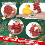 Rubber Ducks 2"