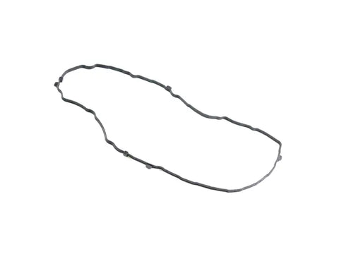 Cylinder Head Cover Gasket - Mopar (4893805AB)